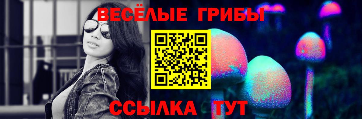 Галлюциногенные грибы прущие грибы  Вход с VPN  Касимов 